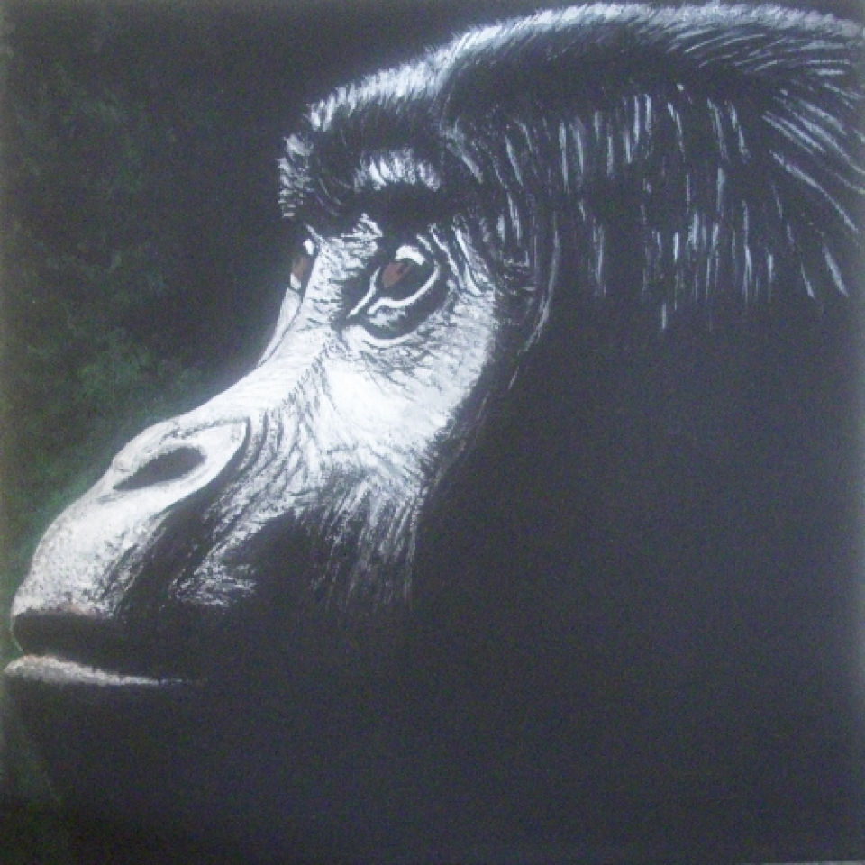 Gorilla Im Nebel 0 X 0 M Acryl Auf Leinwand Rita